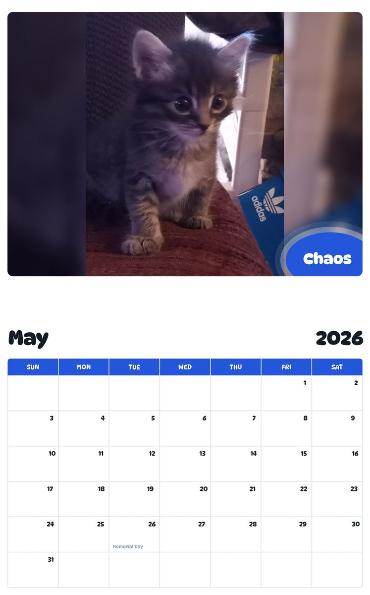2026 - 2027 Chaos - Pawidols Pet Calendar