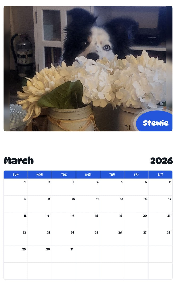 November 2025 - October 2026 Stewie - Pawidols Pet Calendar