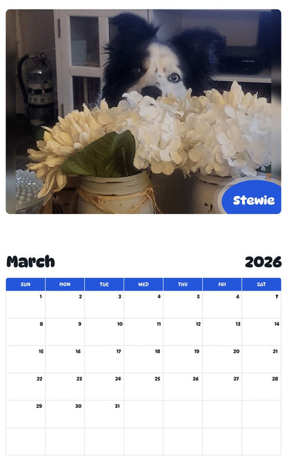 November 2025 - October 2026 Stewie - Pawidols Pet Calendar