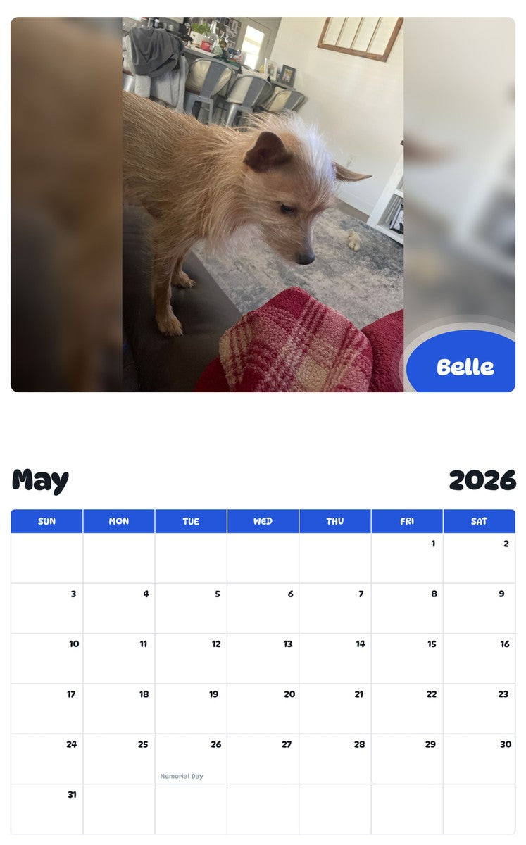 2026 - 2027 Belle - Pawidols Pet Calendar