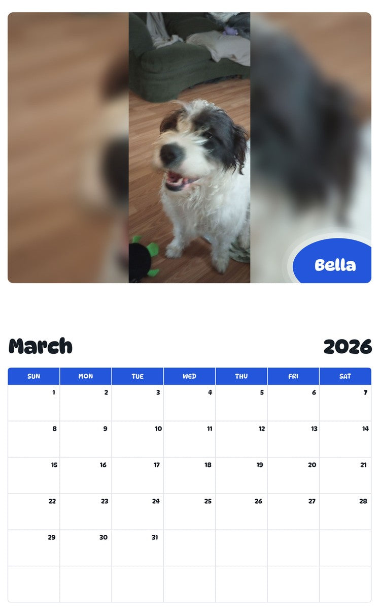 November 2025 - October 2026 Bella - Pawidols Pet Calendar