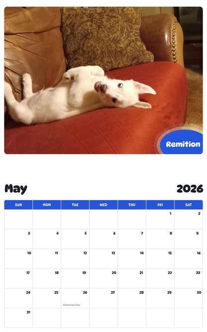 2026 - 2027 Remition - Pawidols Pet Calendar