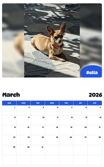 November 2025 - October 2026 Bella - Pawidols Pet Calendar