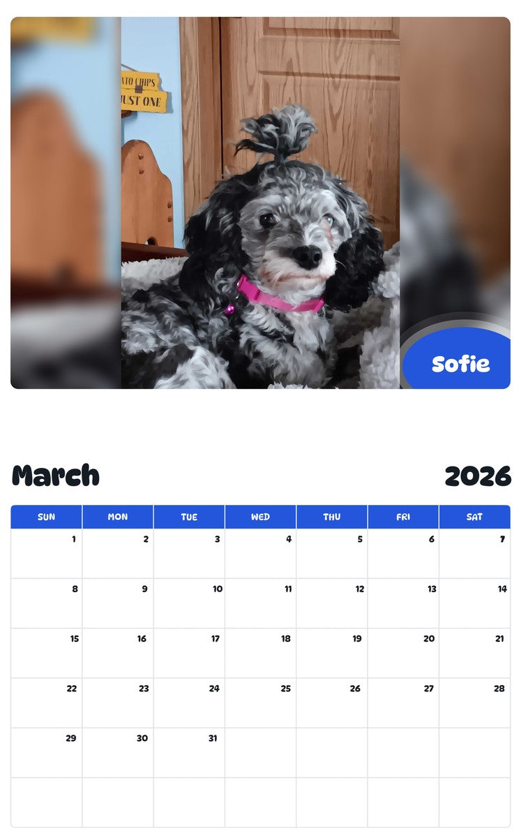 November 2025 - October 2026 Sofie - Pawidols Pet Calendar