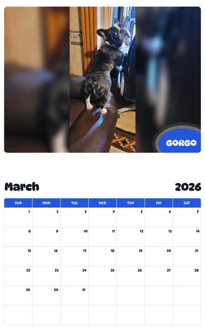 November 2025 - October 2026 GORGO - Pawidols Pet Calendar