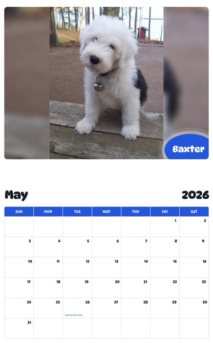 2026 - 2027 Baxter - Pawidols Pet Calendar