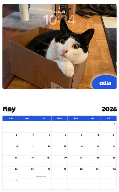 2026 - 2027 Ollie - Pawidols Pet Calendar