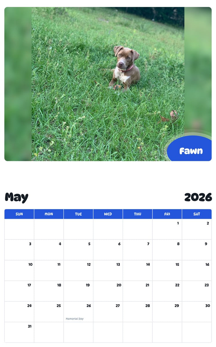 2026 - 2027 Fawn - Pawidols Pet Calendar