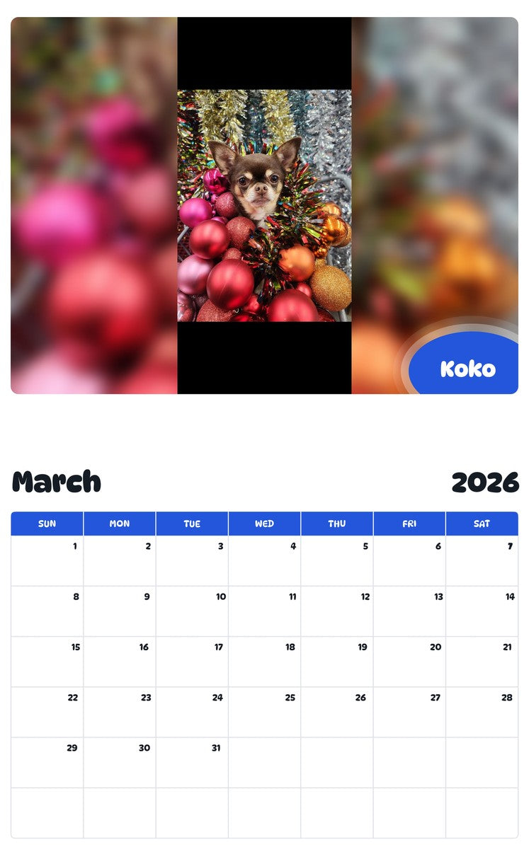 November 2025 - October 2026 Koko - Pawidols Pet Calendar