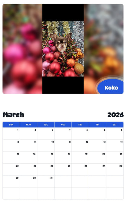 November 2025 - October 2026 Koko - Pawidols Pet Calendar