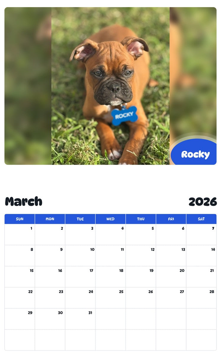 November 2025 - October 2026 Rocky - Pawidols Pet Calendar