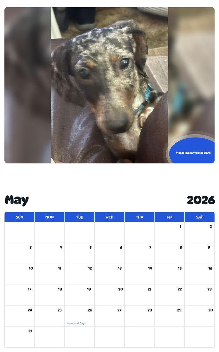 2026 - 2027 Tigger (Tigger Tokker Clark) - Pawidols Pet Calendar