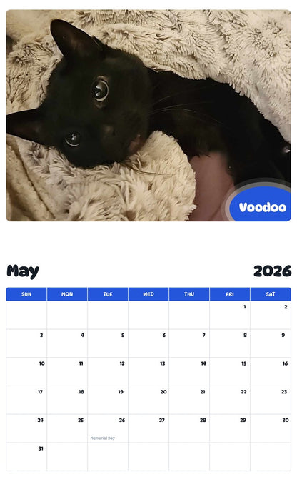 2026 - 2027 Voodoo - Pawidols Pet Calendar