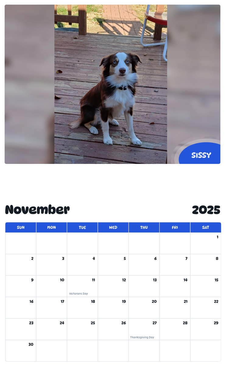 July 2025 - June 2026 Sissy - Pawidols Pet Calendar