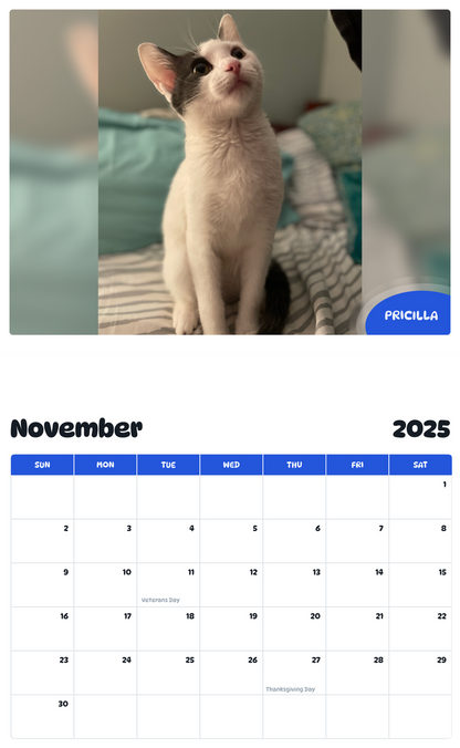 July 2025 - June 2026 Pricilla - Pawidols Pet Calendar