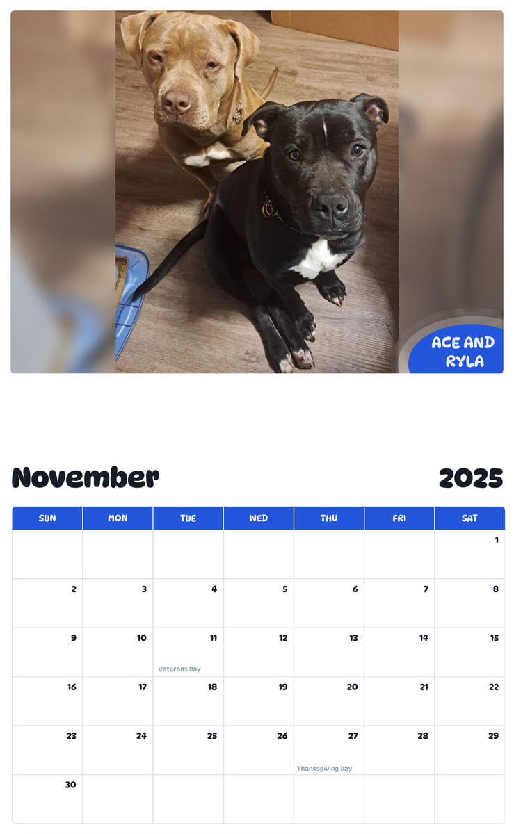 July 2025 - June 2026 Ace an Ryla - Pawidols Pet Calendar