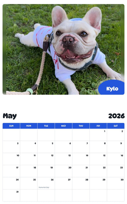 2026 - 2027 Kylo - Pawidols Pet Calendar