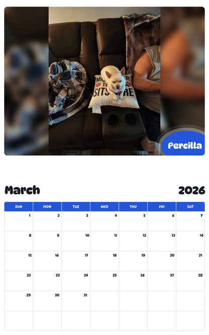 November 2025 - October 2026 Percilla - Pawidols Pet Calendar