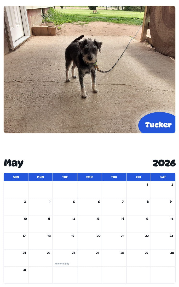 2026 - 2027 Tucker - Pawidols Pet Calendar