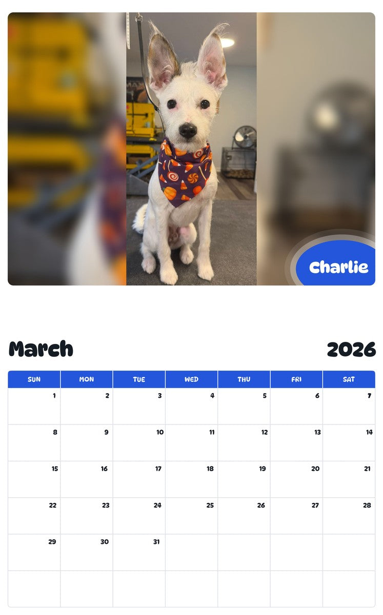 November 2025 - October 2026 Charlie - Pawidols Pet Calendar