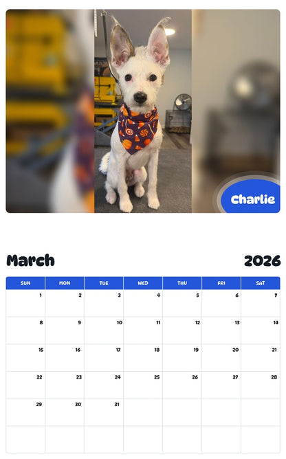 November 2025 - October 2026 Charlie - Pawidols Pet Calendar