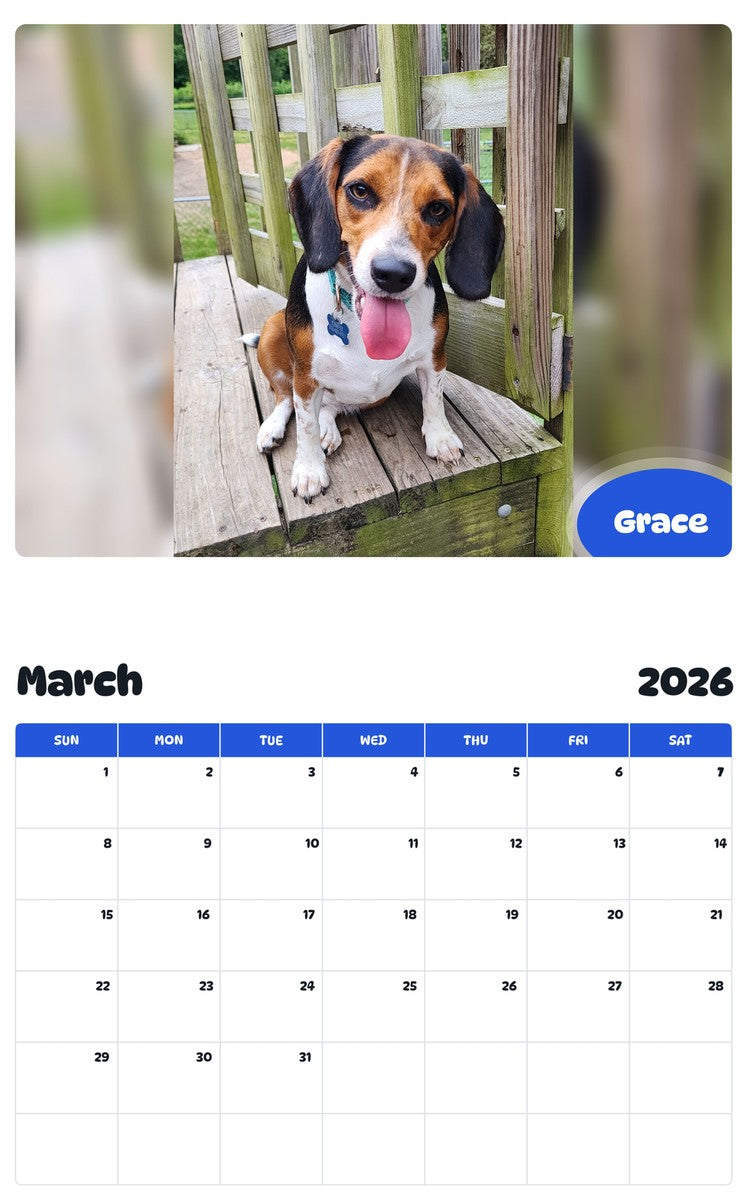 November 2025 - October 2026 Grace - Pawidols Pet Calendar
