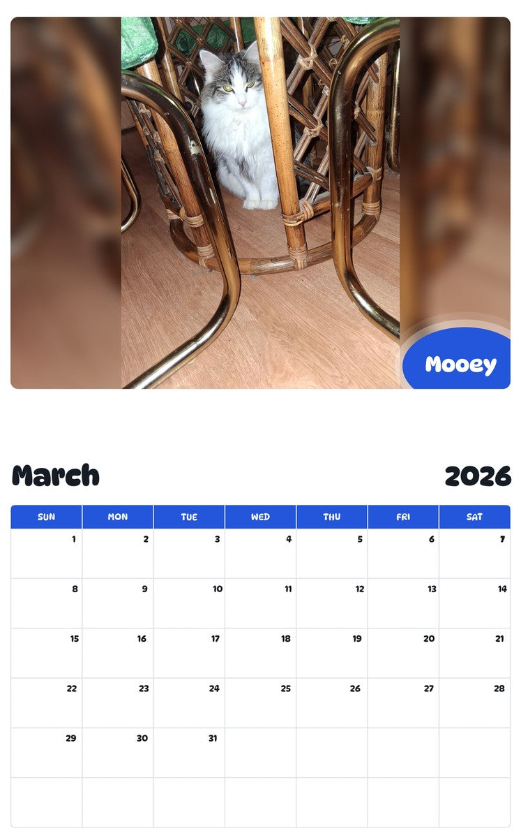 November 2025 - October 2026 Mooey - Pawidols Pet Calendar
