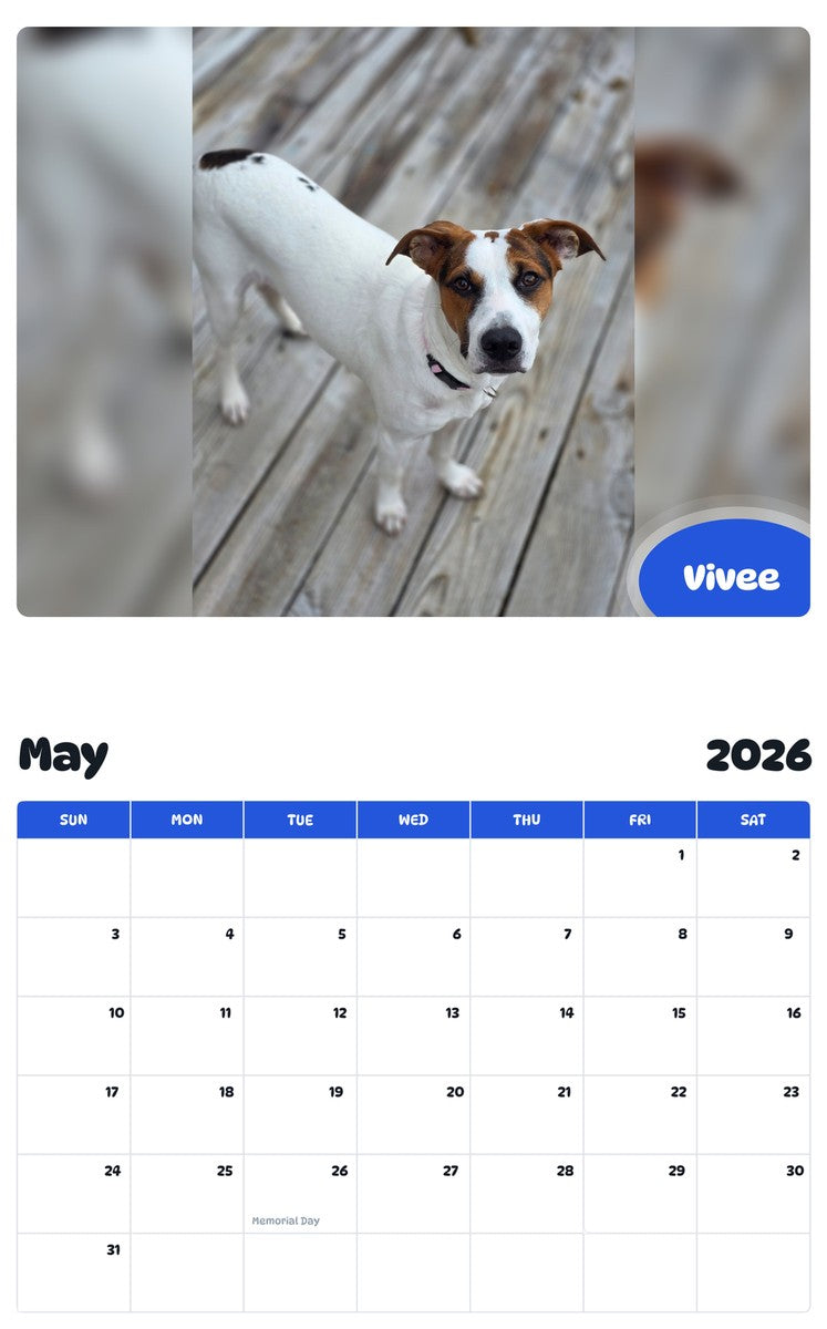 2026 - 2027 Vivee - Pawidols Pet Calendar