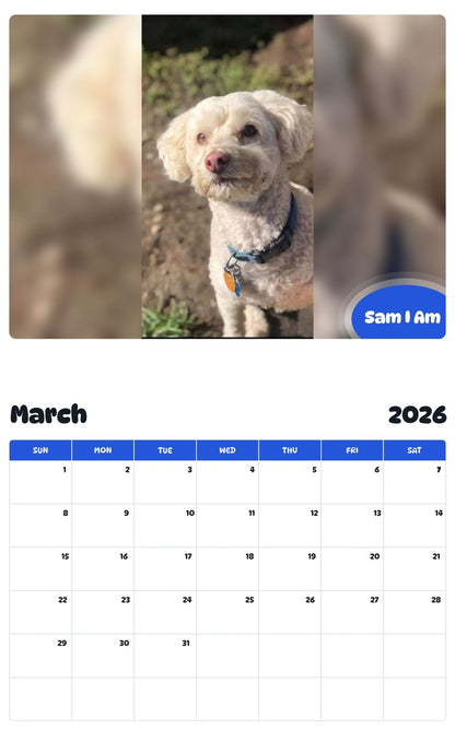 November 2025 - October 2026 Sam I Am - Pawidols Pet Calendar