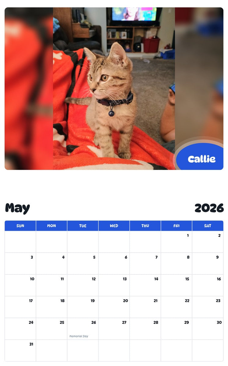 2026 - 2027 Callie - Pawidols Pet Calendar