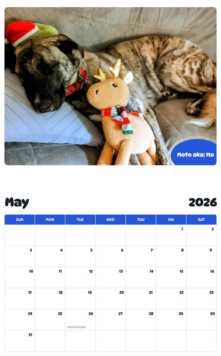 2026 - 2027 Moto aka: Mo - Pawidols Pet Calendar