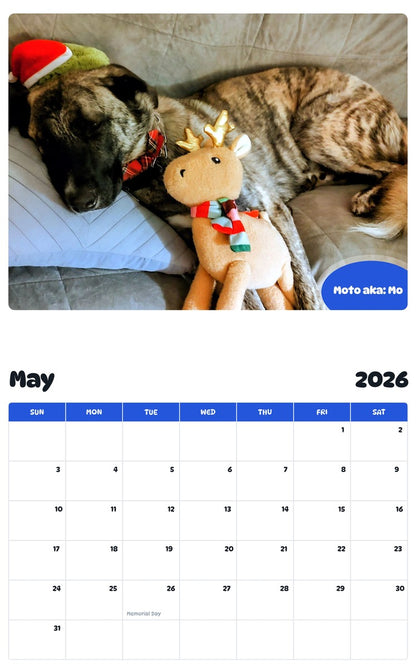 2026 - 2027 Moto aka: Mo - Pawidols Pet Calendar