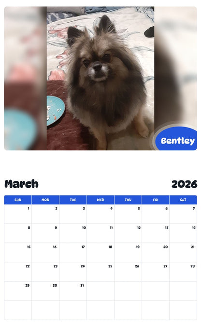 November 2025 - October 2026 Bentley - Pawidols Pet Calendar