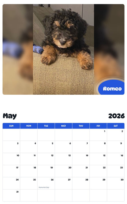 2026 - 2027 Romeo - Pawidols Pet Calendar