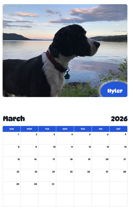 November 2025 - October 2026 Hyler - Pawidols Pet Calendar