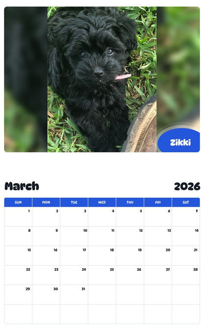 November 2025 - October 2026 Zikki - Pawidols Pet Calendar