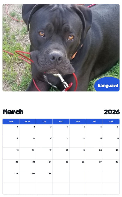 November 2025 - October 2026 Vanguard - Pawidols Pet Calendar