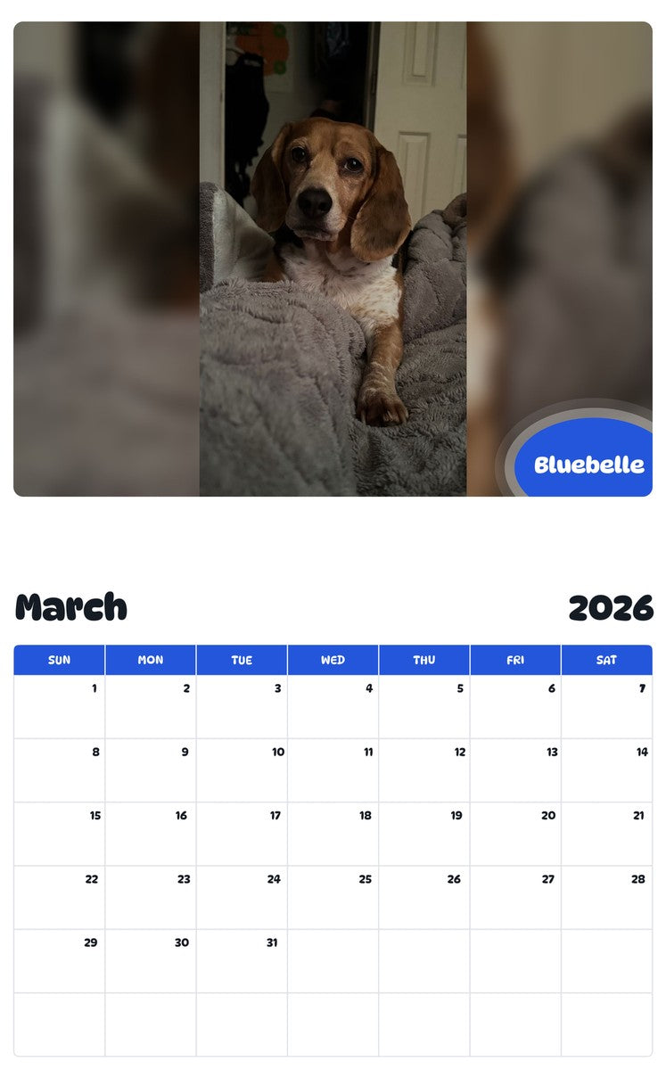 November 2025 - October 2026 Bluebelle - Pawidols Pet Calendar