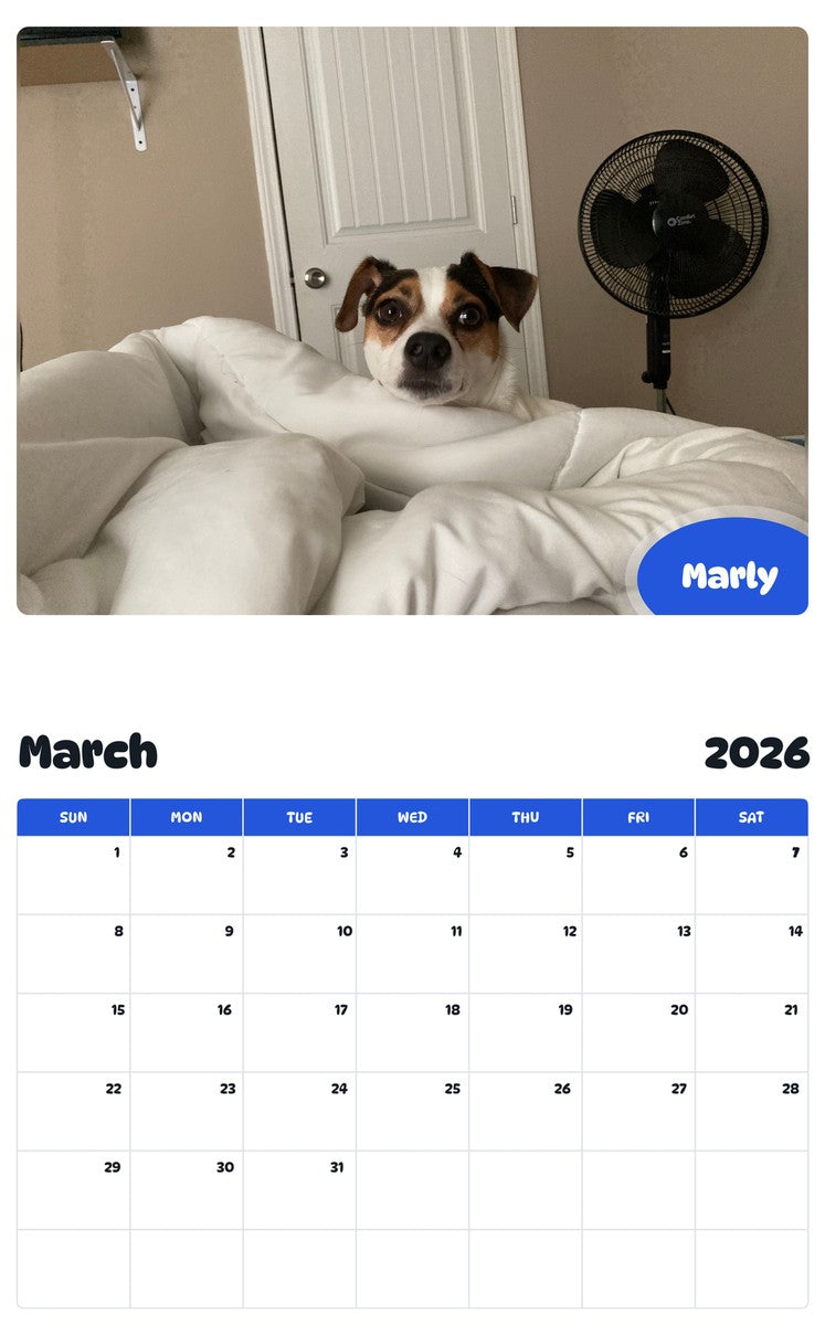 November 2025 - October 2026 Marly - Pawidols Pet Calendar