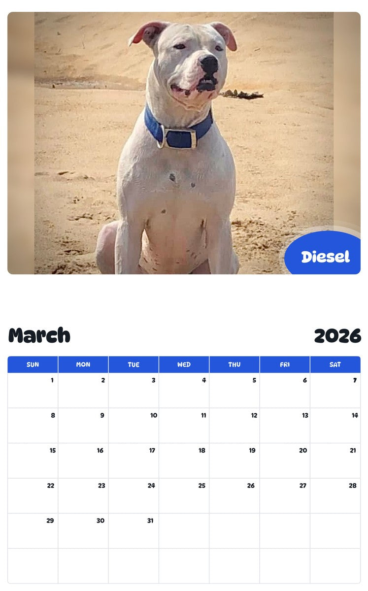 November 2025 - October 2026 Diesel - Pawidols Pet Calendar