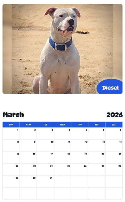 November 2025 - October 2026 Diesel - Pawidols Pet Calendar