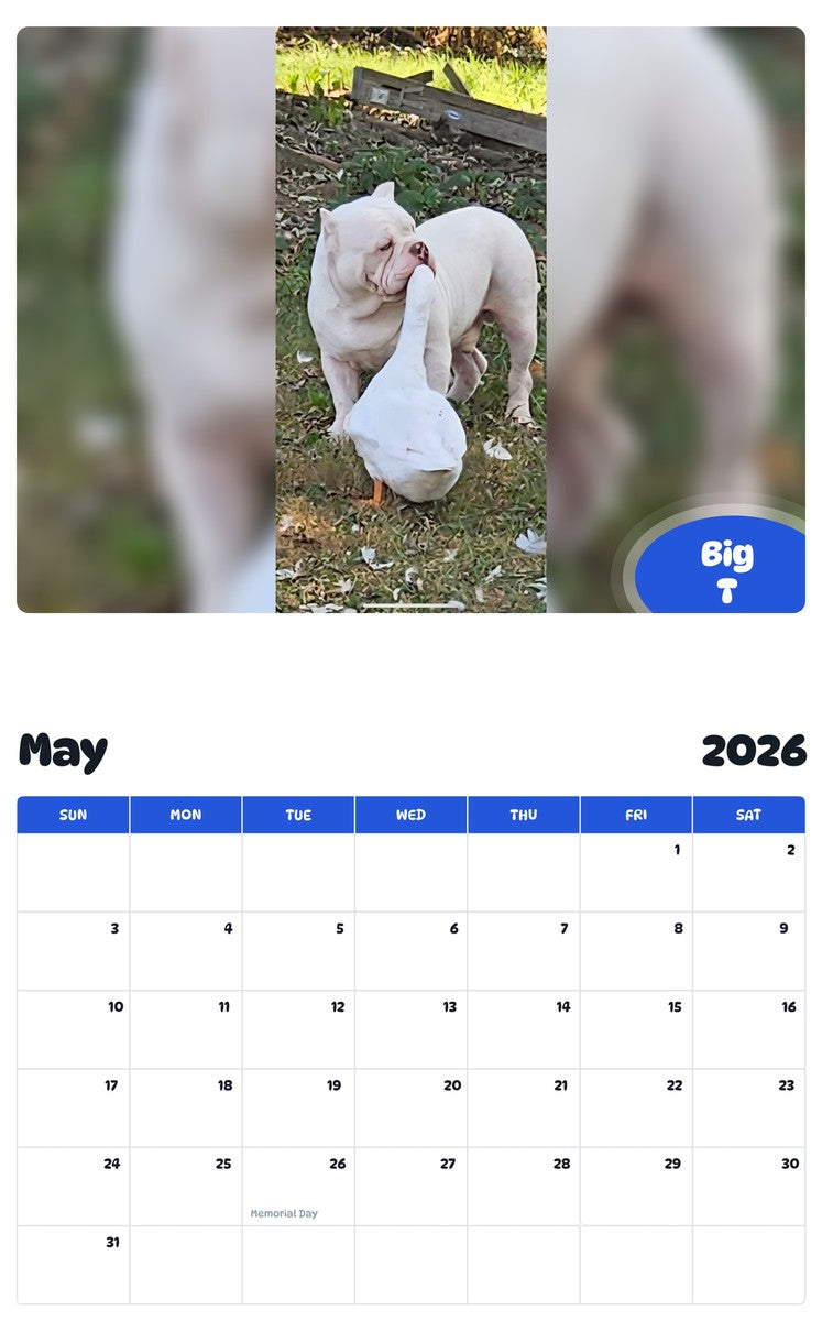 2026 - 2027 Big T - Pawidols Pet Calendar