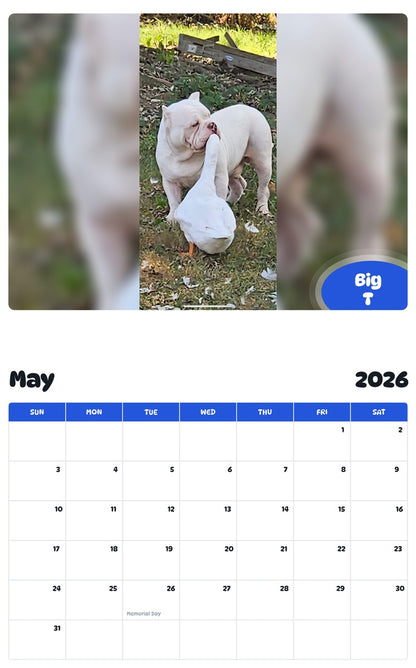 2026 - 2027 Big T - Pawidols Pet Calendar