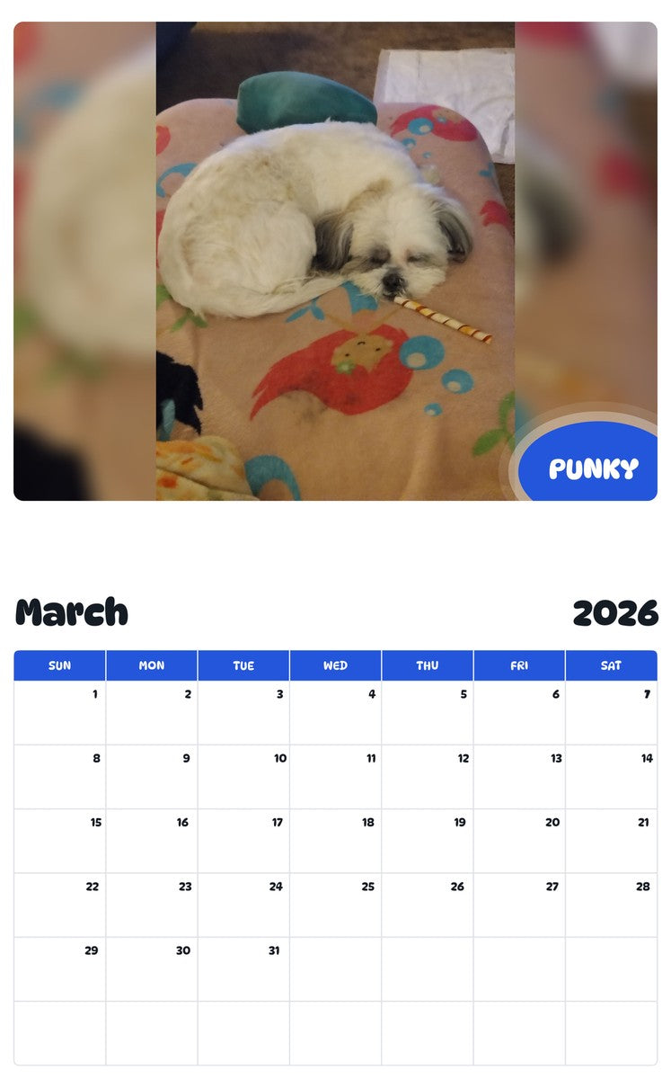 November 2025 - October 2026 PUNKY - Pawidols Pet Calendar
