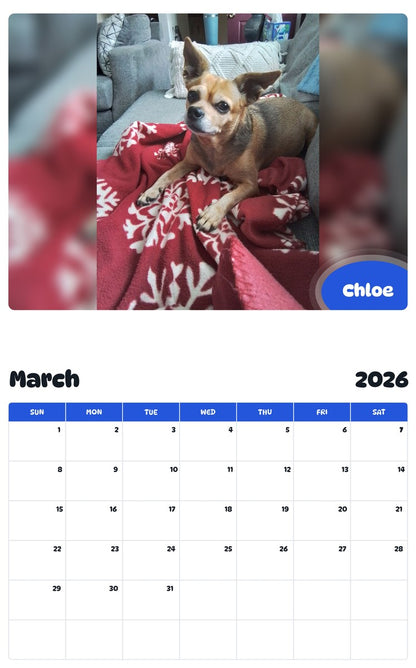 November 2025 - October 2026 Chloe - Pawidols Pet Calendar