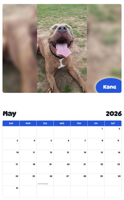 2026 - 2027 Kane - Pawidols Pet Calendar
