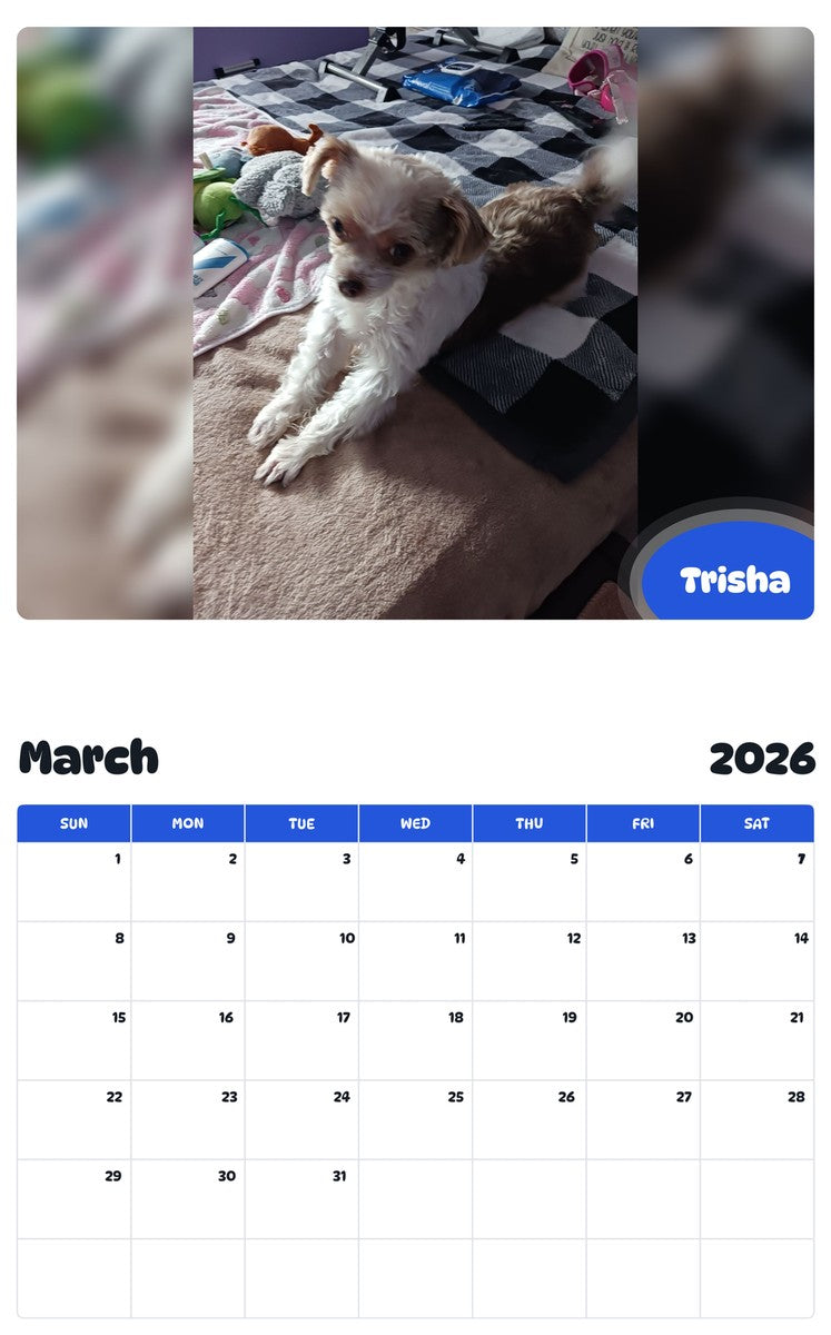 November 2025 - October 2026 Trisha - Pawidols Pet Calendar