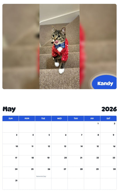 2026 - 2027 Kandy - Pawidols Pet Calendar