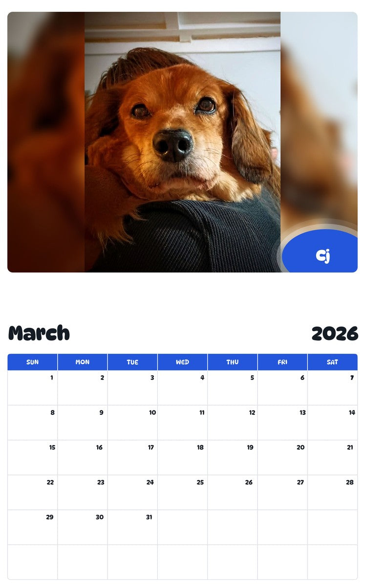 November 2025 - October 2026 Cj - Pawidols Pet Calendar