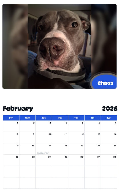 October 2025 - September 2026 Chaos - Pawidols Pet Calendar